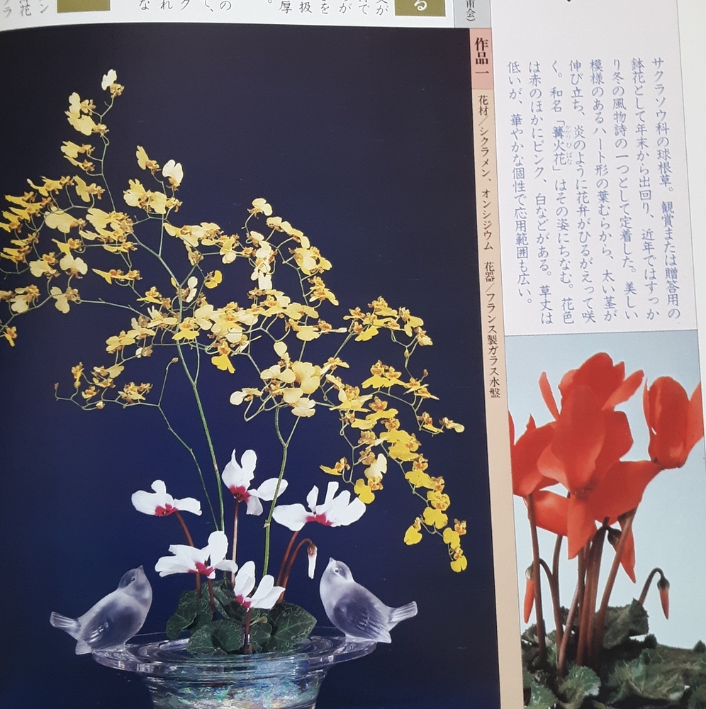 Book of flowers and flower arrangements written in Japanese. - Picture 11 of 12